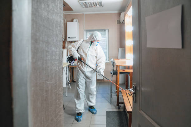 Best Mold Prevention Services  in Shelley, ID