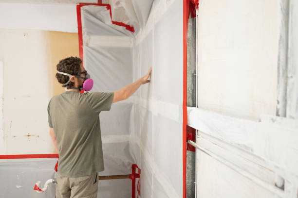 Mold Remediation for Vacation Homes